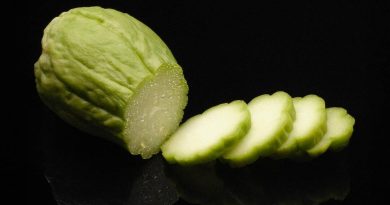 À Lausanne, Nicolas Diegues du Royal Savoy prépare la chayotte de trois manières différentes.