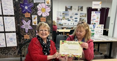 Frontignan permet aux habitants de végétaliser les façades pour embellir l'espace public