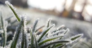 Gelées tardives : moins de 10 % du territoire français touché, une situation inédite