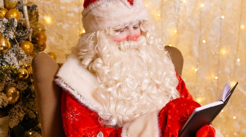 Master en Finance : une diplômée sollicitée pour incarner le Père Noël par France Travail