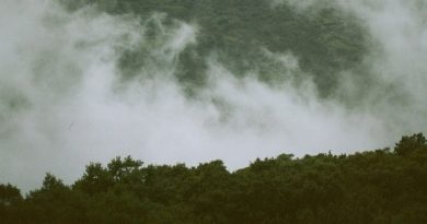 Tempête Claudia : vents violents et orages prévus cette semaine, point sur la dépression