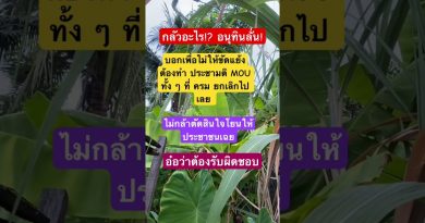 Les dernières tendances EDM et remix de Got7