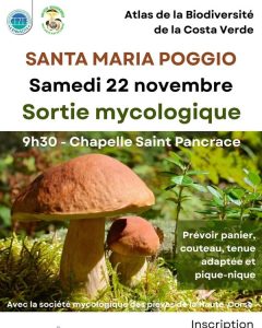 Communauté de Communes de la Costa Verde