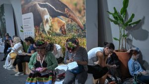 Obstruction dans les négociations climatiques : des pays visent le minimum malgré leurs efforts