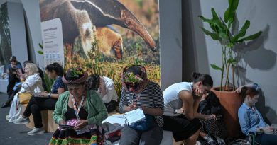 Obstruction dans les négociations climatiques : des pays visent le minimum malgré leurs efforts