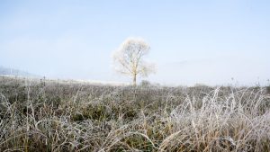 Vague de froid polaire : jusqu'à 15 °C de moins et neige attendue en Occitanie