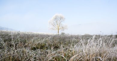 Vague de froid polaire : jusqu'à 15 °C de moins et neige attendue en Occitanie