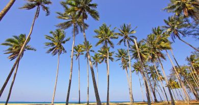Guadeloupe, Basse-Terre, Pointe-à-Pitre, volcano, beach, palm, waterfall, Creole, island