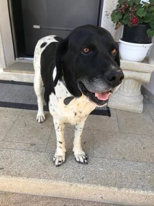 Refuge de Caldaniccia