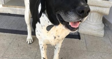 Refuge de Caldaniccia