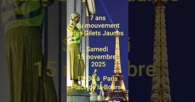 Rassemblement des Gilets Jaunes à Paris, 15/11 à 12h30