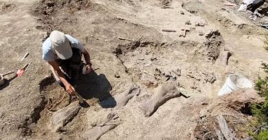 illustration agrandir l