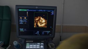 Geneviève Delaisi de Parseval : la pratique des mères porteuses et le projet parental mature