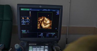 Geneviève Delaisi de Parseval : la pratique des mères porteuses et le projet parental mature