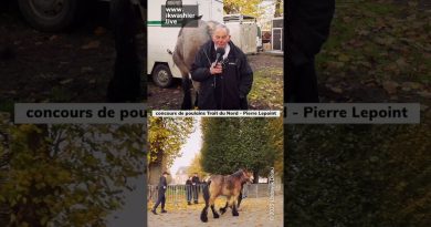 Concours de poulains Trait du Nord avec Pierre Lepoint