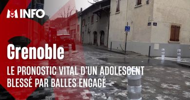 Grenoble : un ado de 12 ans gravement blessé par balles