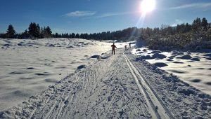 illustration agrandir l