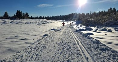 illustration agrandir l