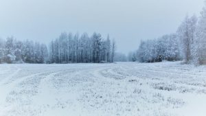 Vague de froid : six départements en vigilance orange neige-verglas, alerte en Aveyron