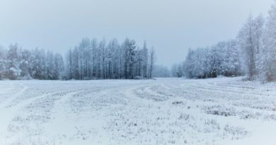 Vague de froid : six départements en vigilance orange neige-verglas, alerte en Aveyron