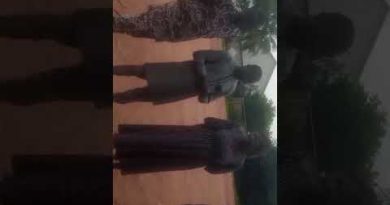 Ravitaillement en bois de chauffe pour la cantine de l'EPP/Sokouhoué