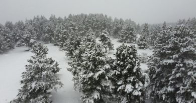 Neige en Occitanie : Images marquantes des Pyrénées, Aigoual et Lozère