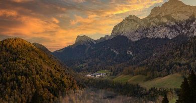 Le mystère de la chartreuse : un spiritueux chargé d'histoire et de traditions