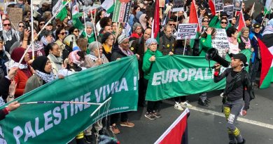 Marche contre le racisme et le fascisme, cortège de soutien à la Palestine, Paris, 22 mars 2025.