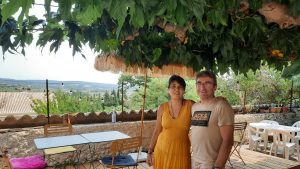 Découverte de 'L’arbre du voyageur' : une exploration apaisante et enrichissante