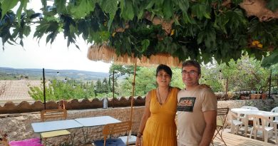 Découverte de 'L’arbre du voyageur' : une exploration apaisante et enrichissante