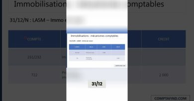 Audit des immobilisations : Cours financier des Big 4