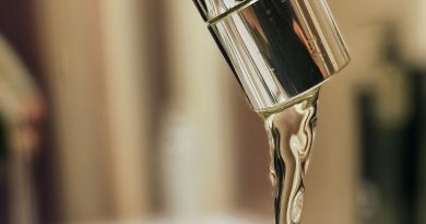 illustration agrandir l