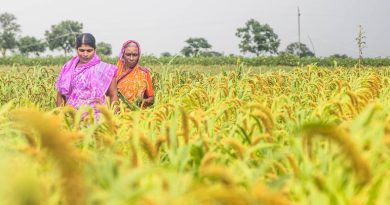Sommet de l'ONU : solutions avec fermes bios et puces d'IA pour l'agriculture durable