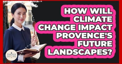 Impact du changement climatique sur les paysages de Provence