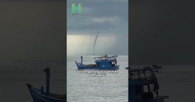 Apparition d'un gigantesque dragon de mer à Phú Quốc