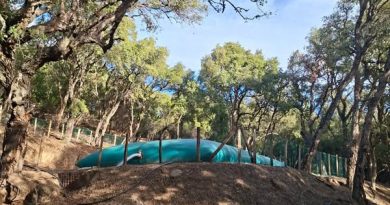 Communauté de Communes de l'Oriente