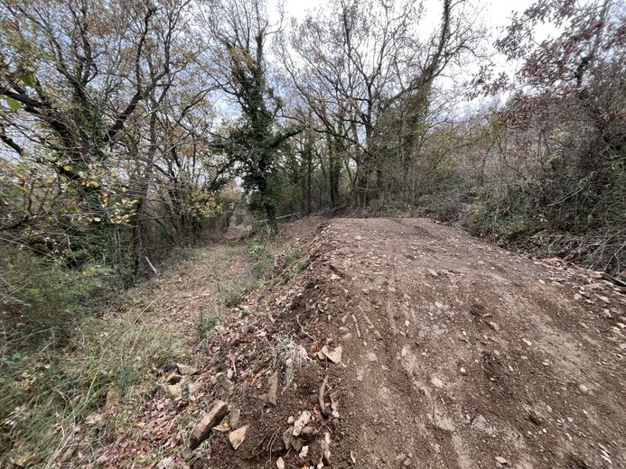 La'Forest Jump' porte bien son nom avec de nouvelles bosses.