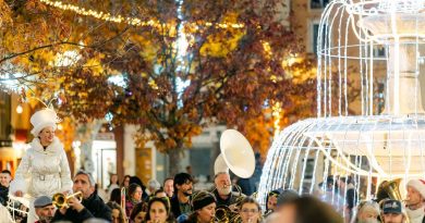 illustration agrandir l