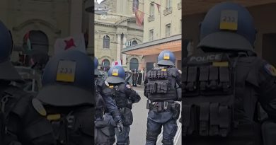 18 policiers blessés lors d'une manifestation pro-Palestine en Suisse