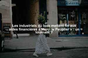 Les industriels du bois mettent fin aux aides financières « Merci le Peuplier » : un tournant ?