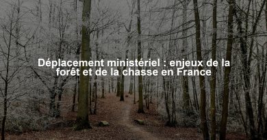 Déplacement ministériel : enjeux de la forêt et de la chasse en France