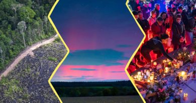 Image constituée de 3 photos. À gauche : une vue du ciel d'une partie de la forêt amazonienne. Au centre : une aurore boréale rose et bleue en Loire Atlantique. À droite, des personnes posant des bougies place de la République en hommage aux victimes des attentats du 13 novembre 2015.