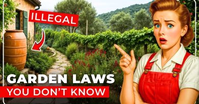 20 Règles de Jardinage Inconnues aux États-Unis