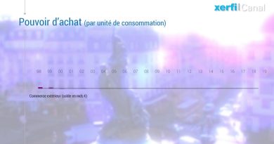20 ans d'évolution du pouvoir d'achat des Français