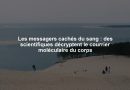 Les messagers cachés du sang : des scientifiques décryptent le courrier moléculaire du corps