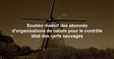 Soutien massif des abonnés d'organisations de nature pour le contrôle létal des cerfs sauvages