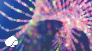 Impact des LLMs sur l'écosystème du savoir médical : une évolution en cours