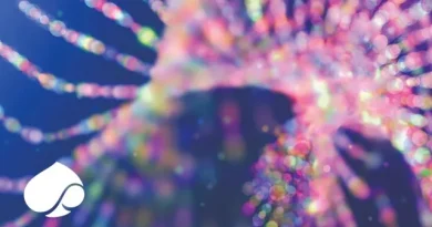 Impact des LLMs sur l'écosystème du savoir médical : une évolution en cours