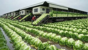 2025 : Les machines agricoles qui rendent les agriculteurs millionnaires