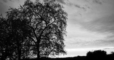 Photos365 : Un an de photos quotidiennes par Yoan Bernabeu